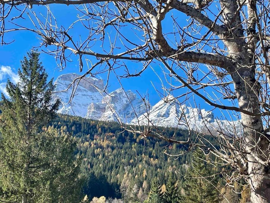 Home In Dolomiti Villanova  Екстер'єр фото